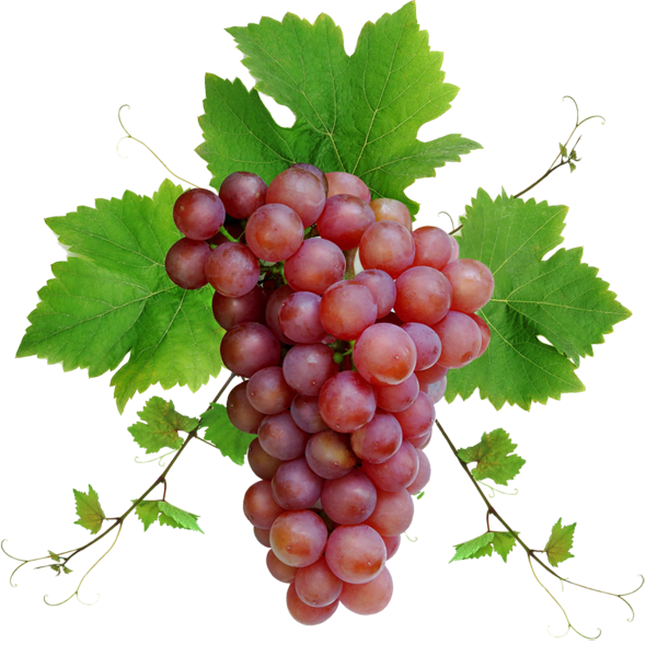 A bunch of grapes