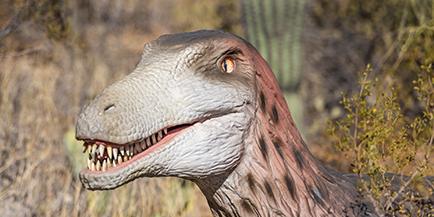 Photo of a Deinonychus replica