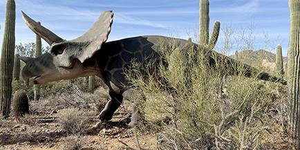 Photo of a Triceratops replica