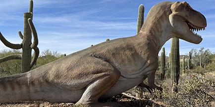 Photo of a Tyrannosaurus rex replica